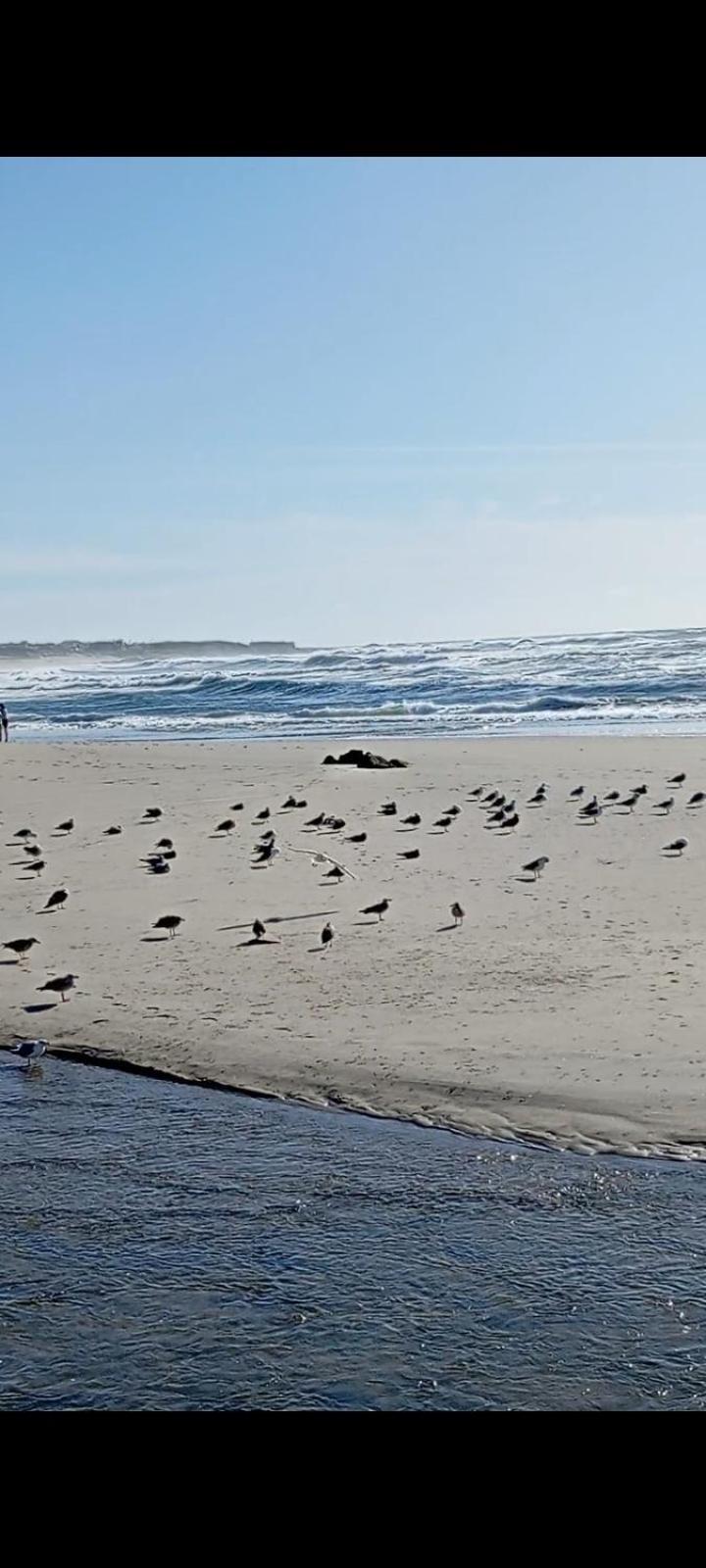 Atico Maravilloso En Cangas , Vigo Kültér fotó